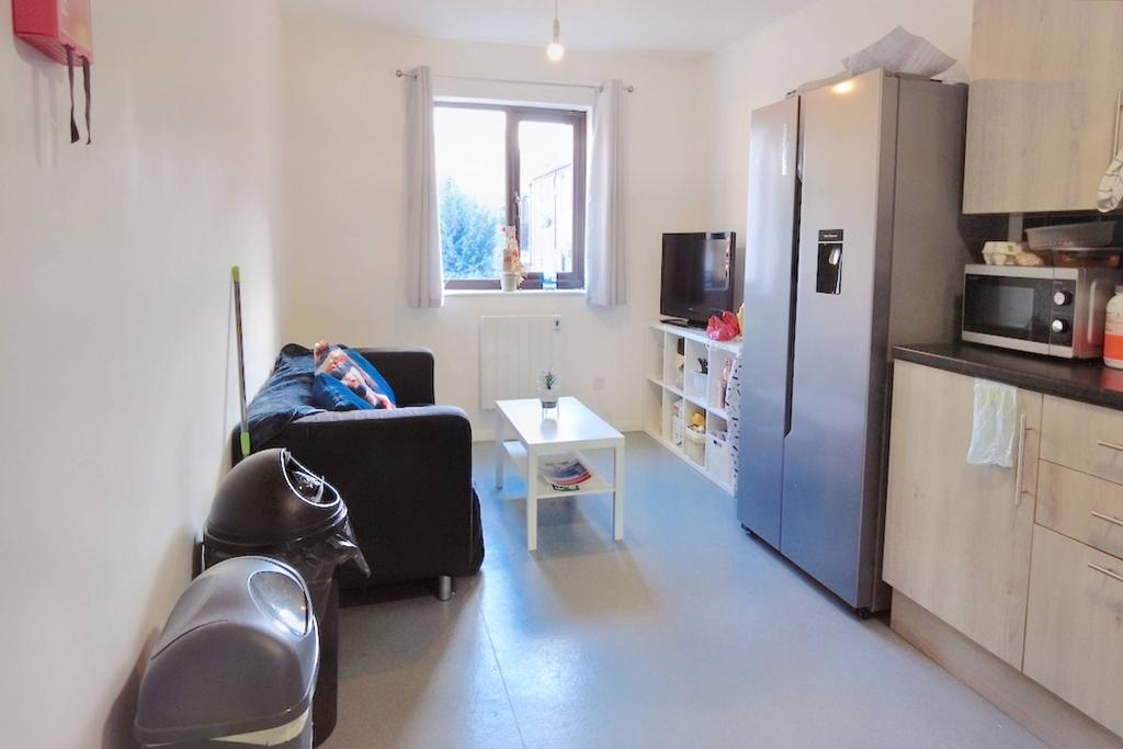 Apartment Kitchen / Living Area