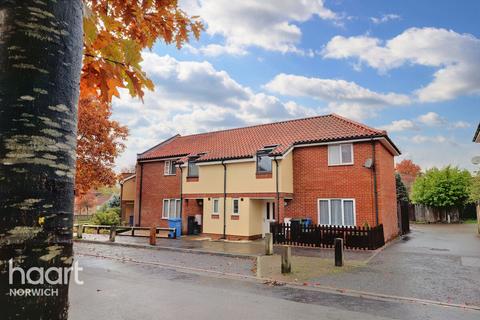 94 Bignold Road, Norwich, NR3 2NF