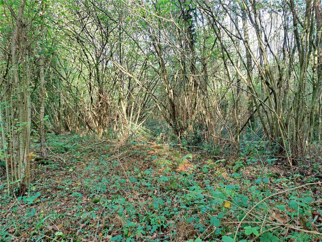 Plaistow, Billingshurst Land for sale £60,000
