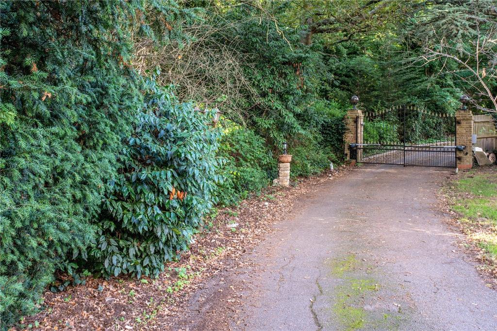 Driveway
