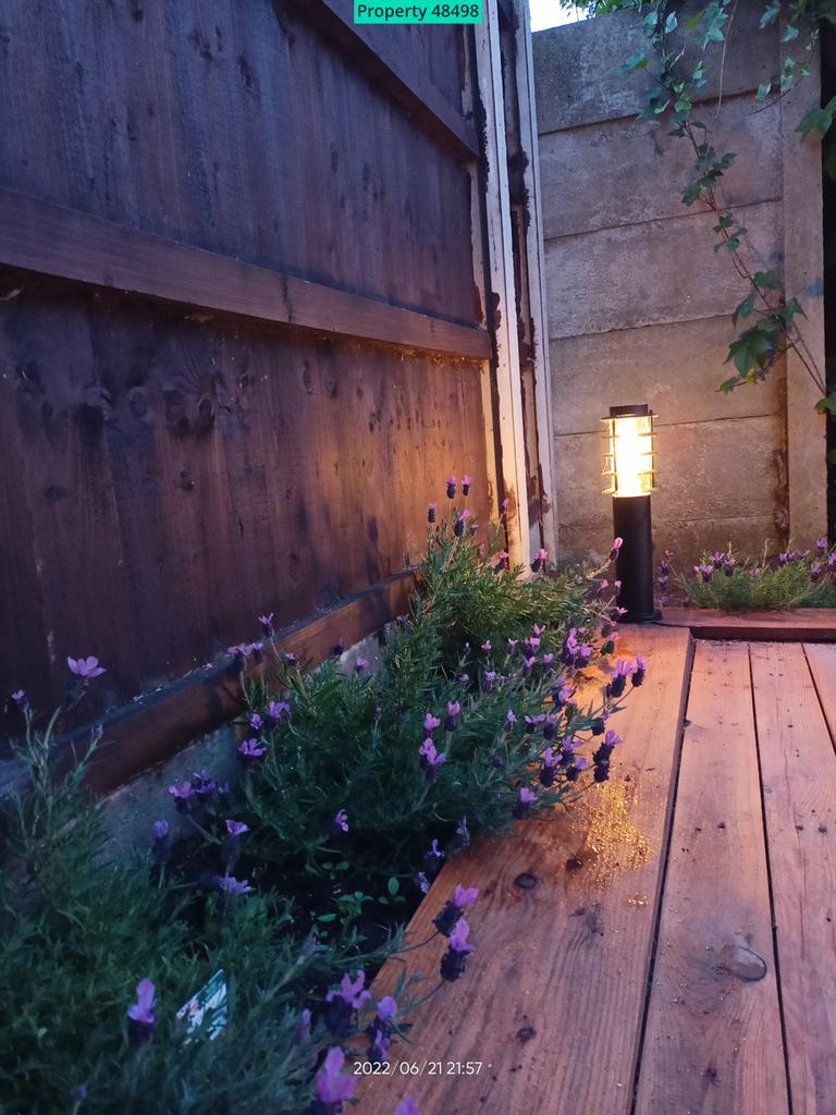 Lavenders and Lights with the Decking