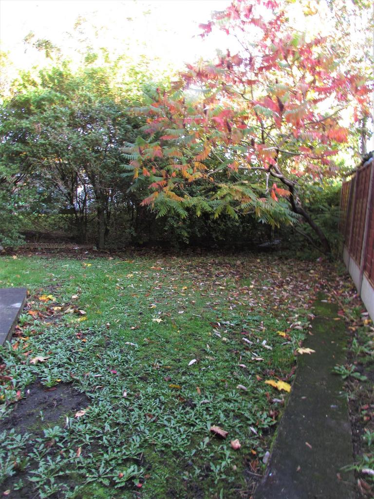 Photograph 12
