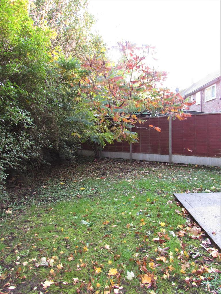 Photograph 13