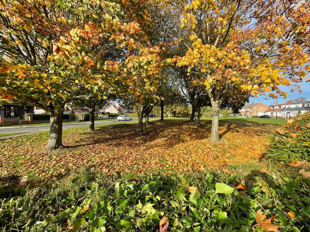 The Green, Thornaby, StocktonOnTees 2 bed detached bungalow £299,950