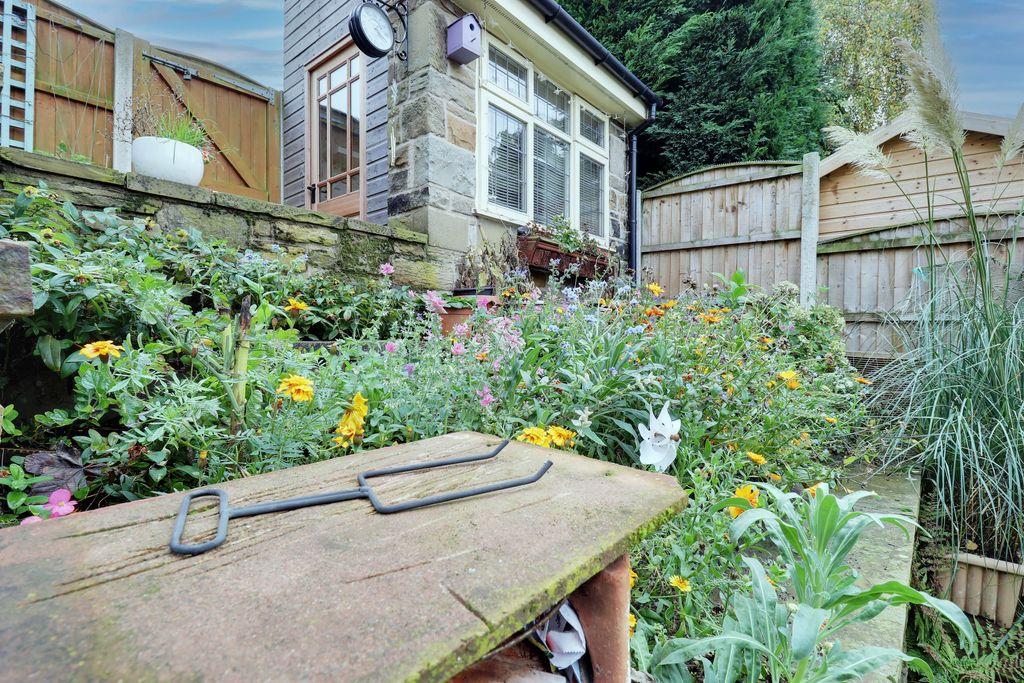 Garden at Back