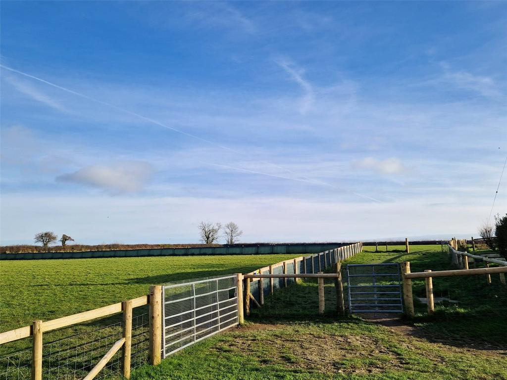 Fields