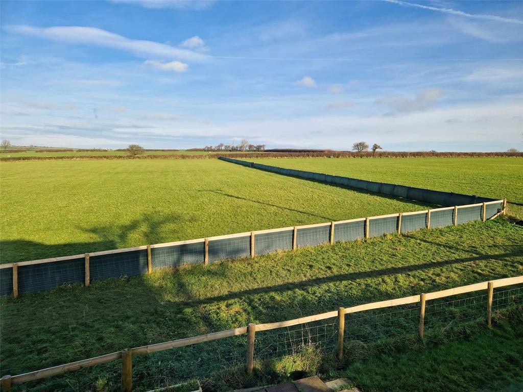 Fields