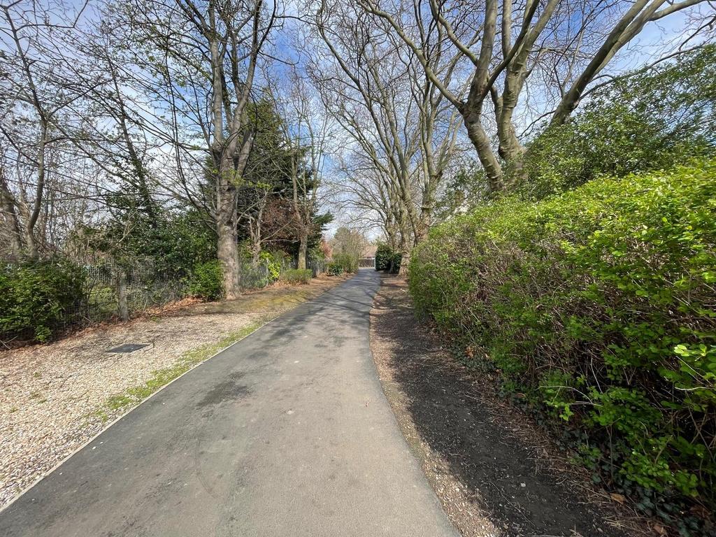 Driveway