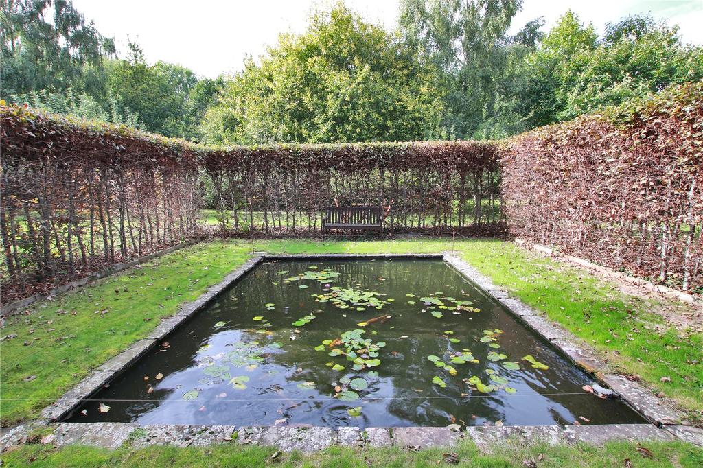 Pond