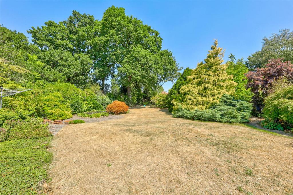 18 garden 2.jpg