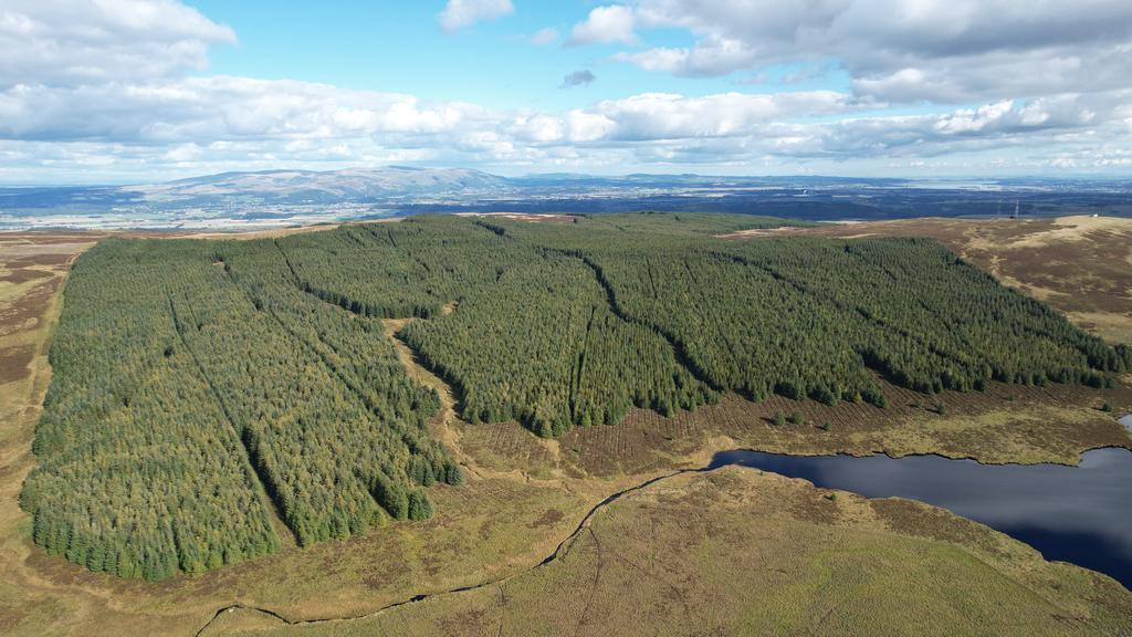 Earlsburn Forest, Near Stirling, Stirlingshire FK7 Woodland for sale