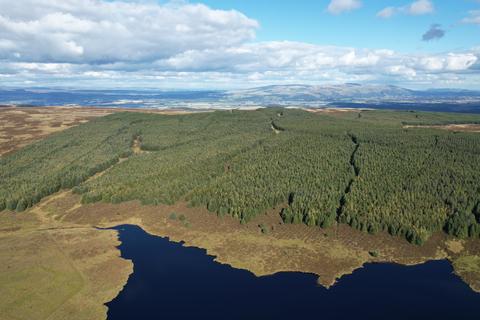 Woodland for sale, Earlsburn Forest, Near Stirling, Stirlingshire FK7