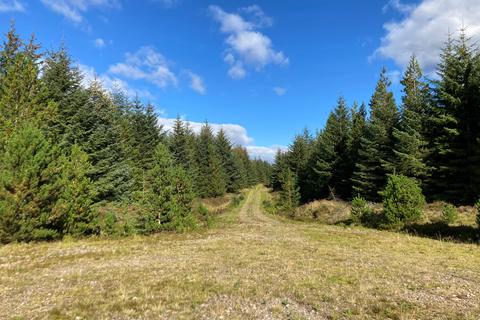 undefined, Earlsburn Forest, Near Stirling, Stirlingshire FK7