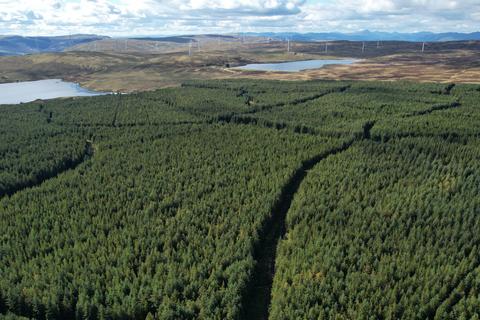 undefined, Earlsburn Forest, Near Stirling, Stirlingshire FK7