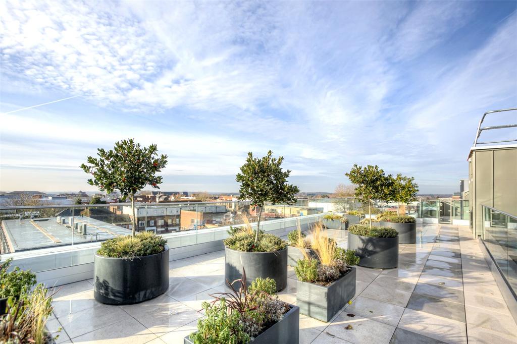 Communal Terrace