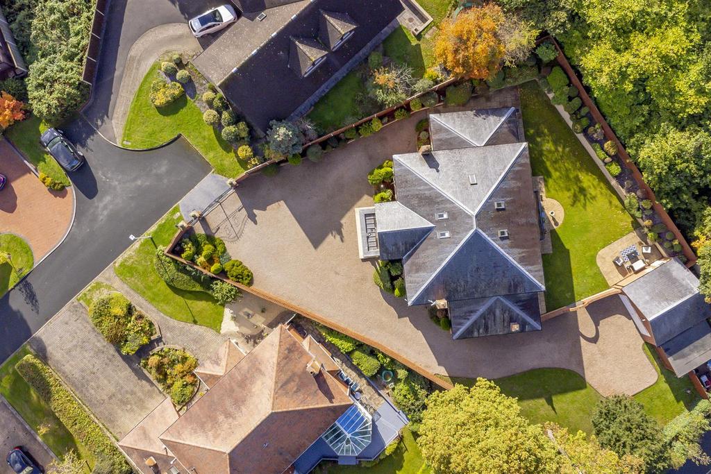 Drone DJI 0278 copy.jpg