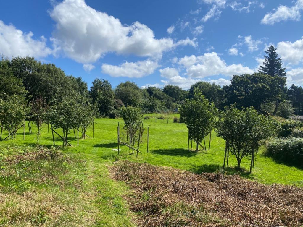 Plot 2, North East of Nightingale House, Arisaig Land for sale £135,000