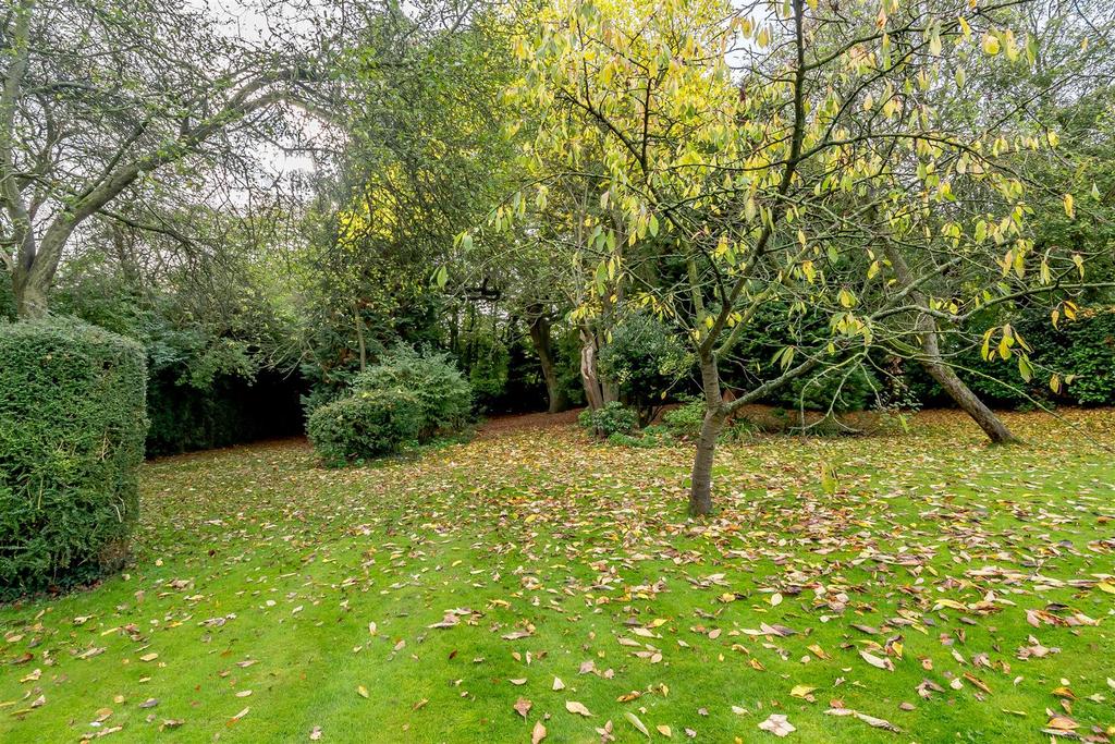 Woodland Garden