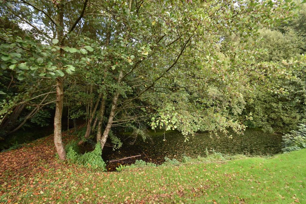 Seddon - Tiverton