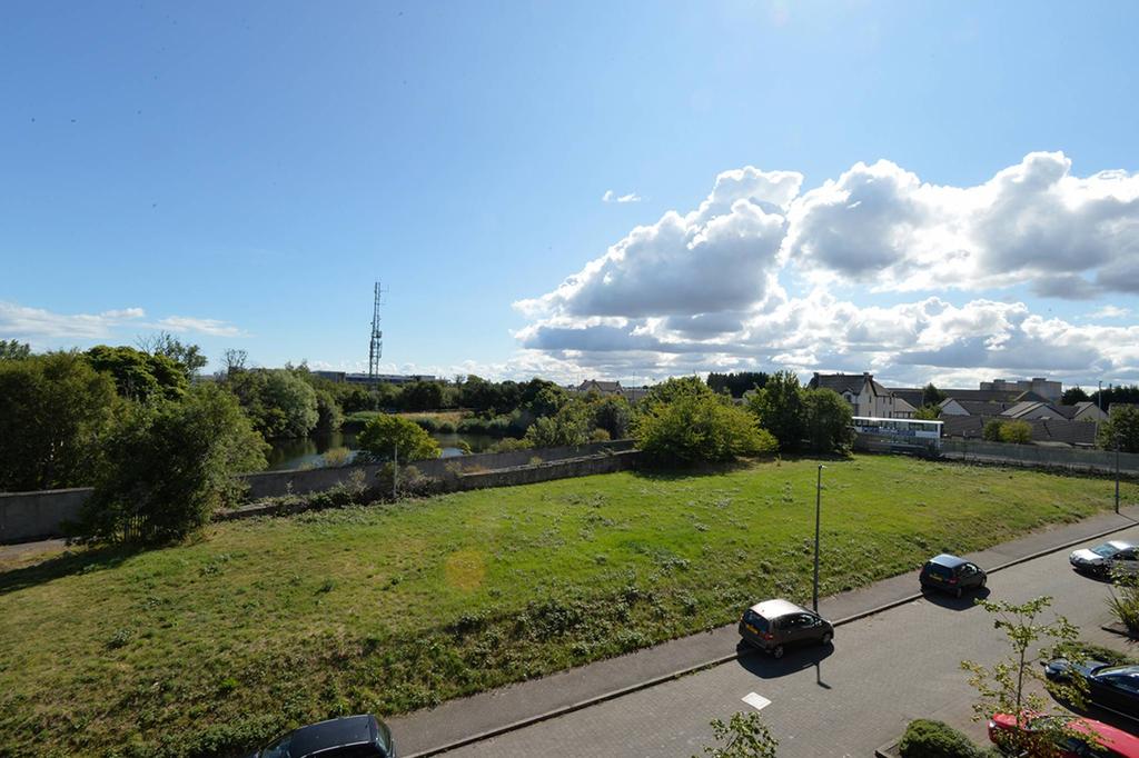 MFL4213709 333.jpg