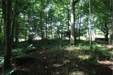 Land for sale - Plot 2, Phase 2 Woodland near Cadham Square, Glenrothes, Fife, KY7 6PL