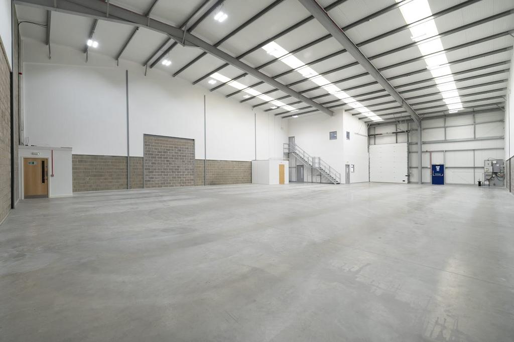 IW260325 CAE5565.jpg
