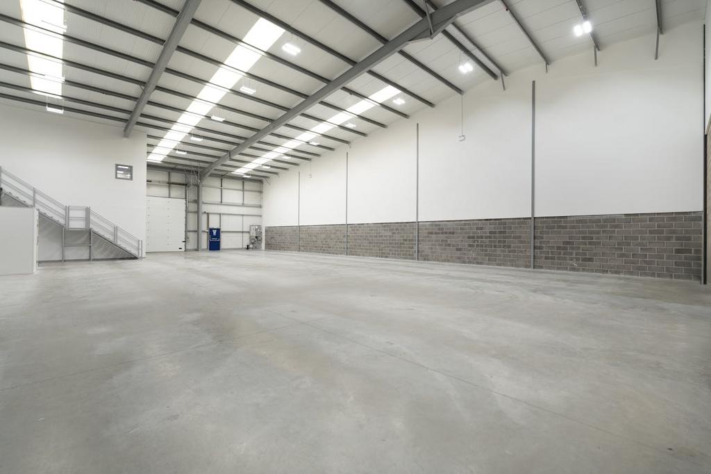 IW260325 CAE5571.jpg
