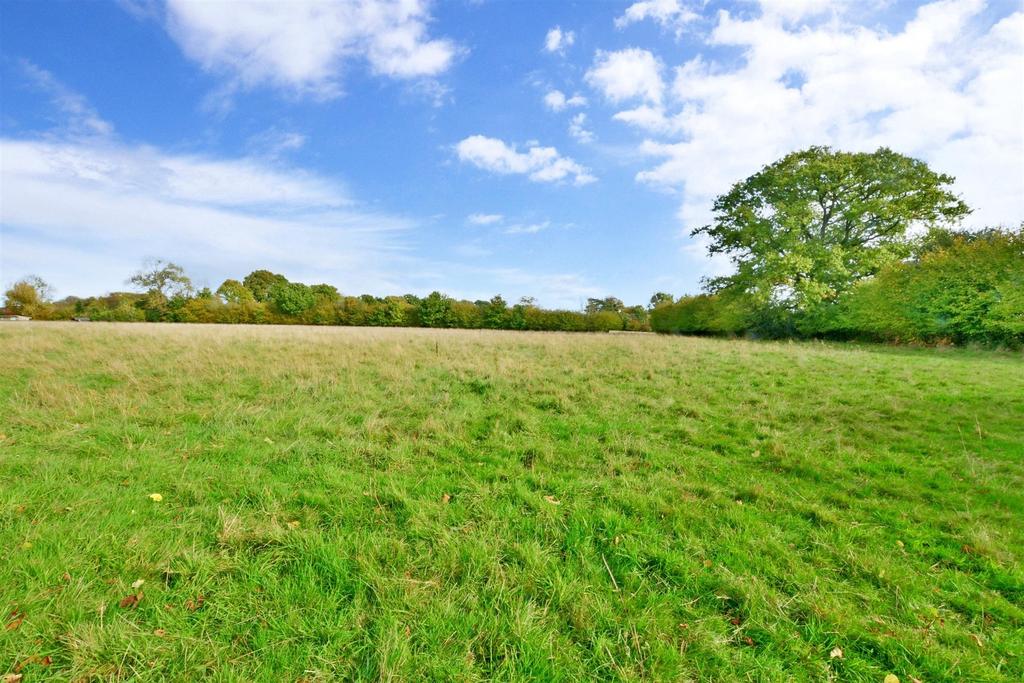 Surrounding Area