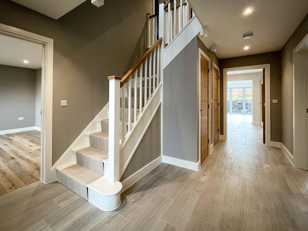 Previous Development