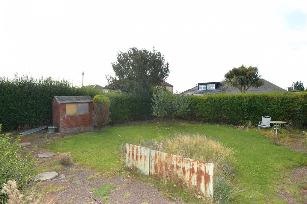 MFL0219595 431.jpg