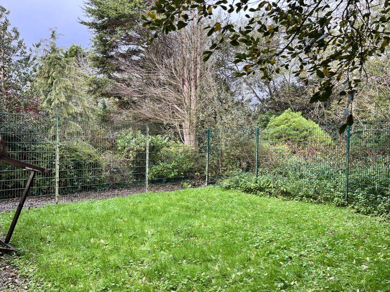 Part of garden