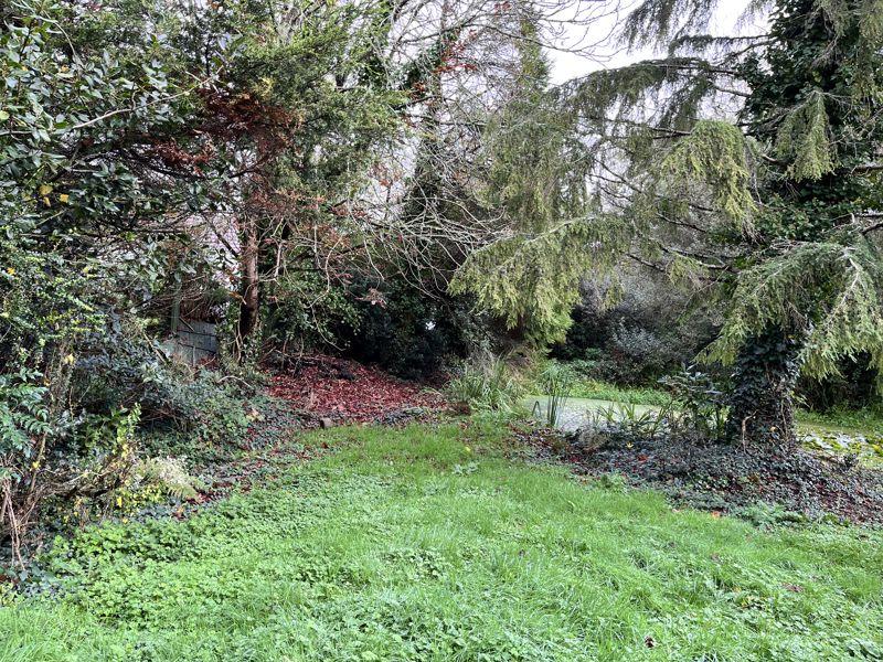 Grounds