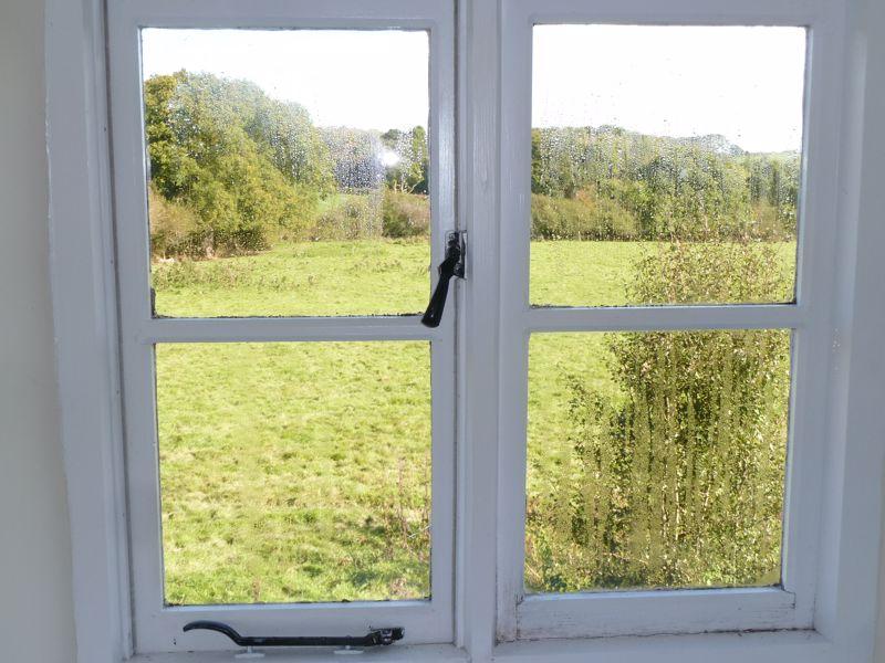 View from Meadow...