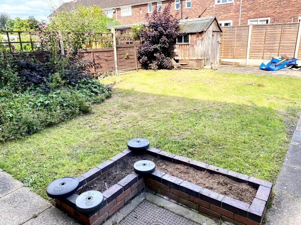 Back Garden