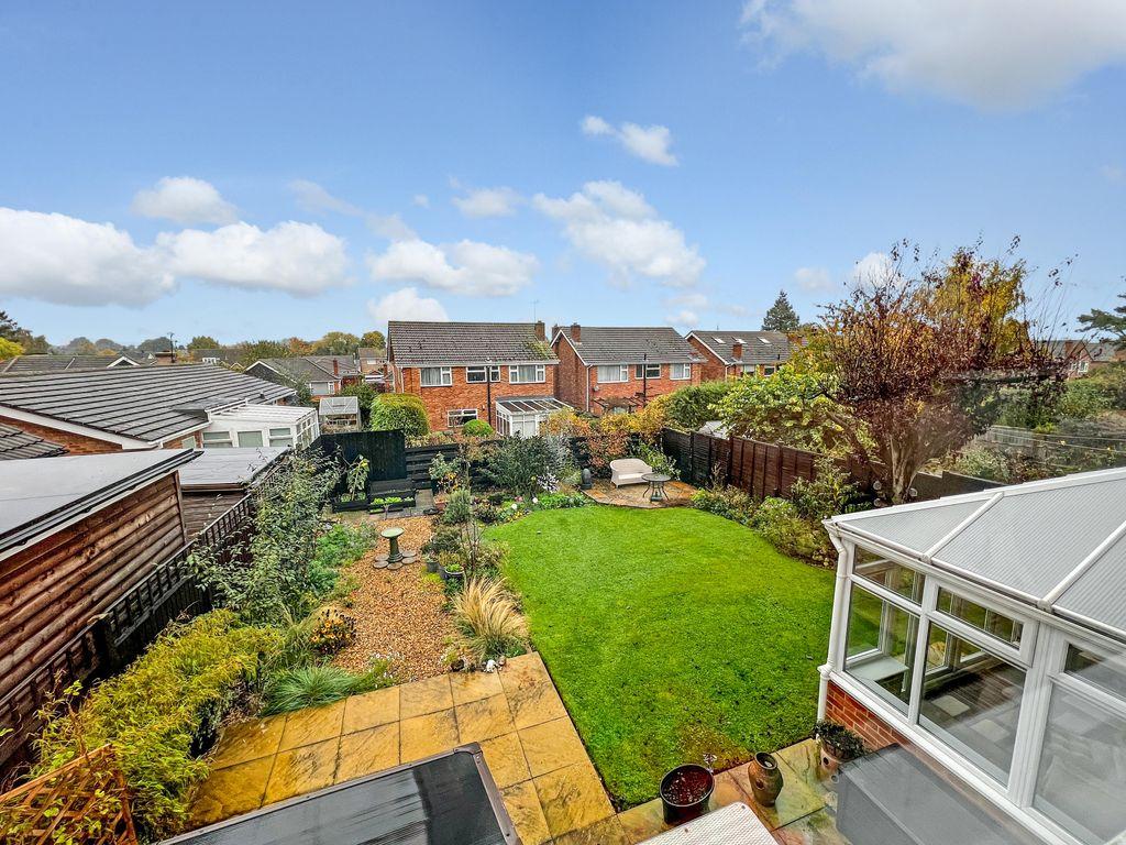 Garden at Back