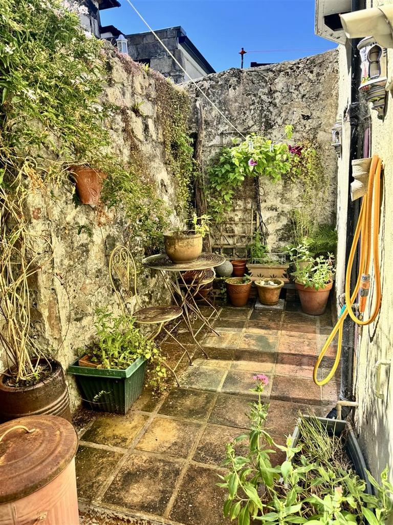 IMG 0373.jpg