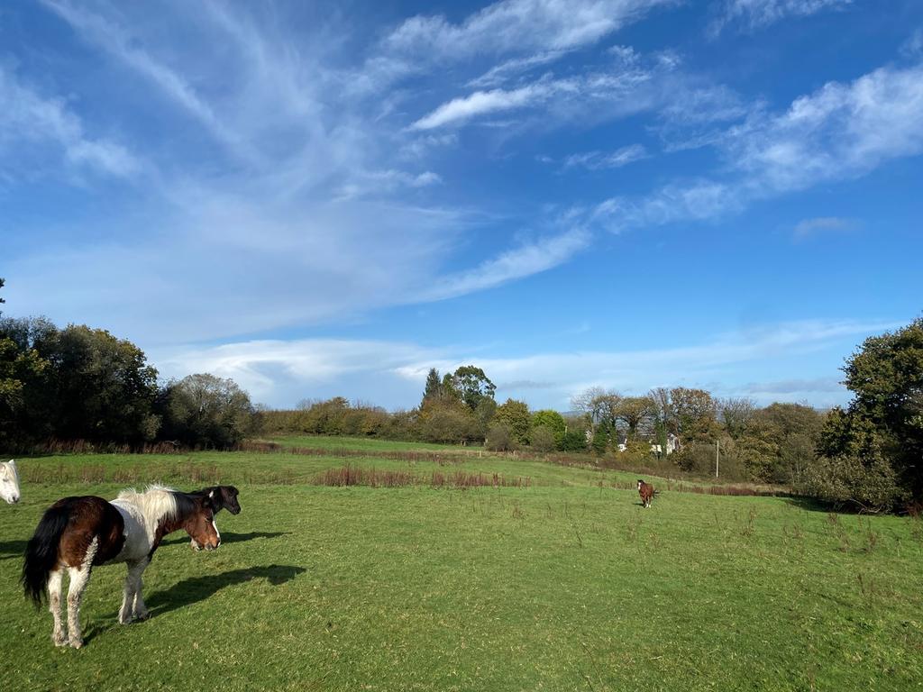 Rhos, Llandysul, SA44 4 bed property with land for sale £559,000