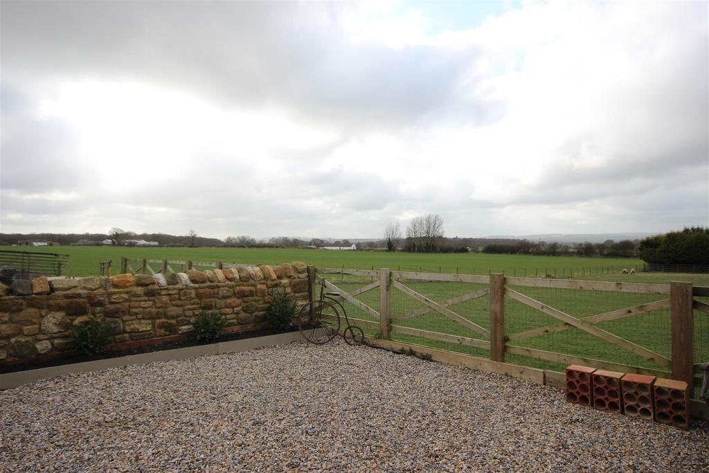 Img 9698.jpg