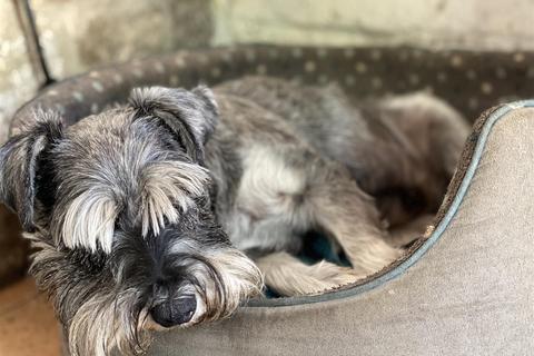 6 bedroom detached house for sale, Hisomley, Dilton Marsh