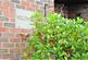 Dsc 0493.jpg