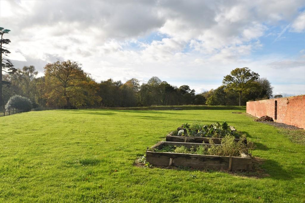 Communal Field