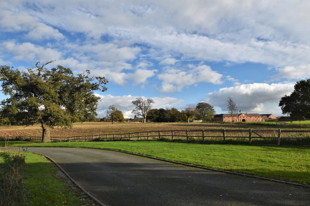 Driveway 1
