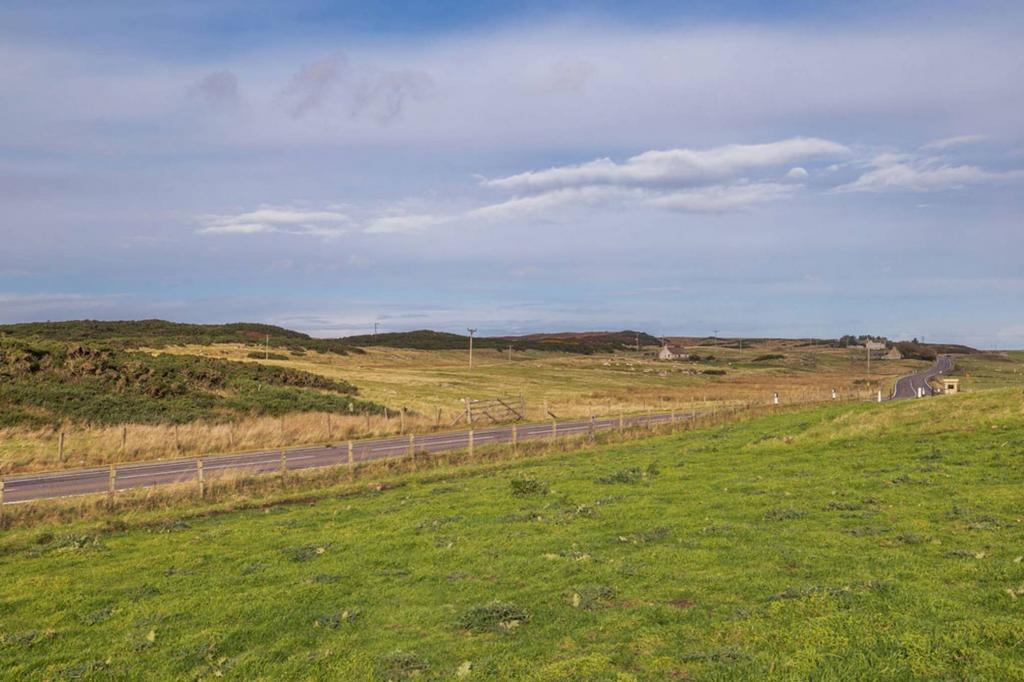 MFL7216809 500.jpg