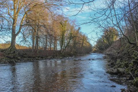 undefined, Fishing Rights to the North of Peakfield, Frosterley