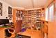 Study Area