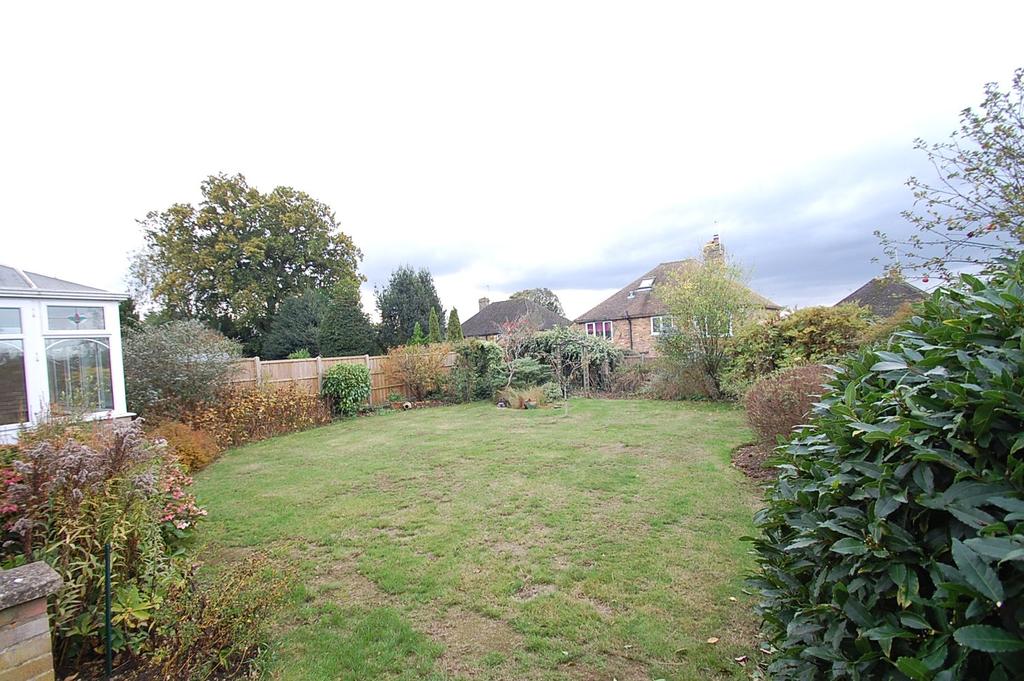 Back Garden