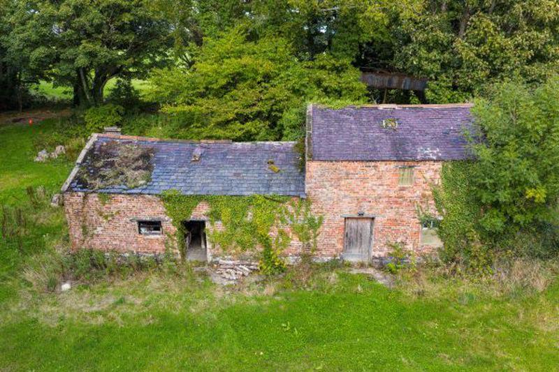 "Spud House"