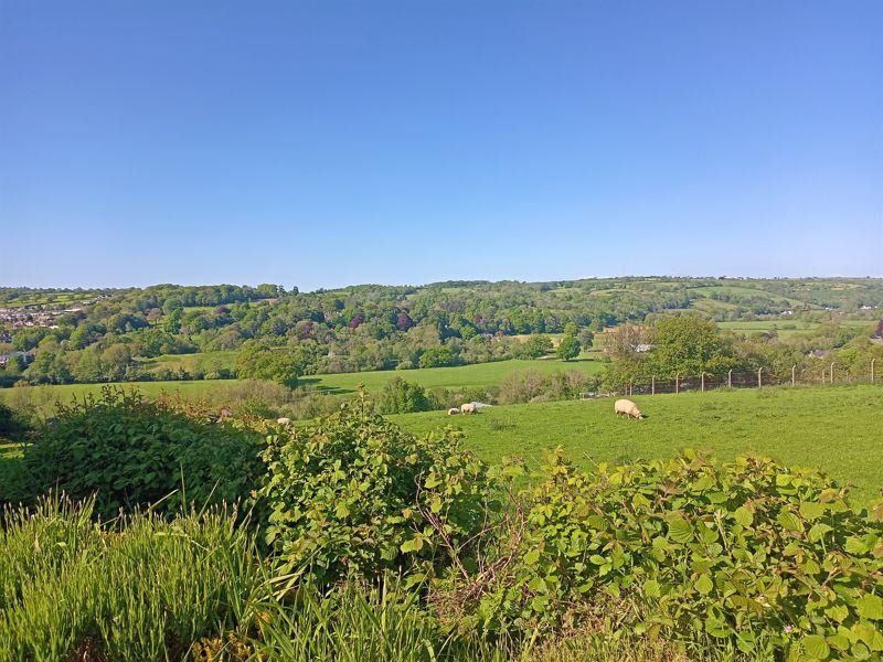 Far Reaching Views