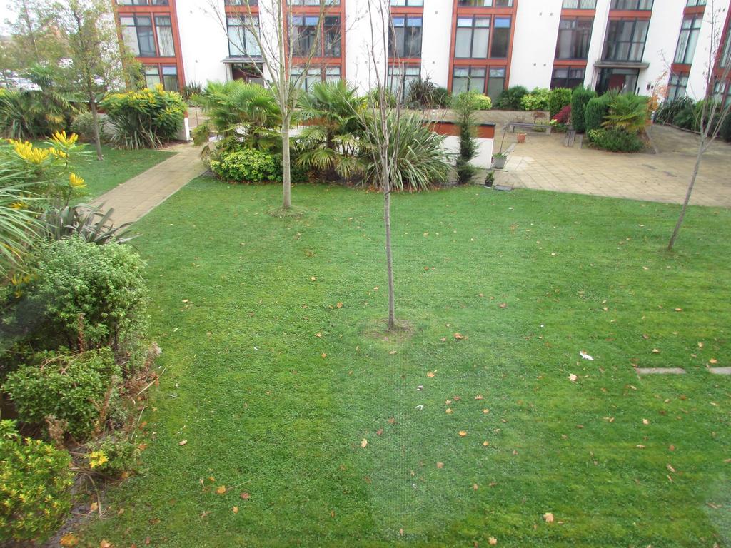 Photograph 7