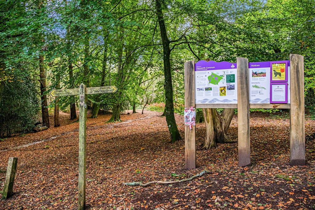 Hesworth Common Fittleworth